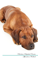 Rhodesian Ridgeback Affirmations Workbook Rhodesian Ridgeback Presents: Positive and Loving Affirmations Workbook. Includes: Mentoring Questions, Guidance, Supporting You.