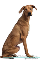 Rhodesian Ridgeback Affirmations Workbook Rhodesian Ridgeback Presents: Positive and Loving Affirmations Workbook. Includes: Mentoring Questions, Guidance, Supporting You.
