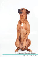 Rhodesian Ridgeback Affirmations Workbook Rhodesian Ridgeback Presents: Positive and Loving Affirmations Workbook. Includes: Mentoring Questions, Guidance, Supporting You.
