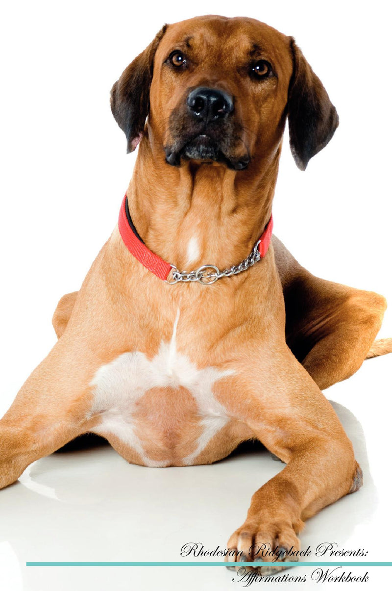 Rhodesian Ridgeback Affirmations Workbook Rhodesian Ridgeback Presents: Positive and Loving Affirmations Workbook. Includes: Mentoring Questions, Guidance, Supporting You.