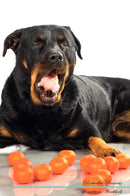 Rottweiler Affirmations Workbook Rottweiler Presents: Positive and Loving Affirmations Workbook. Includes: Mentoring Questions, Guidance, Supporting You.