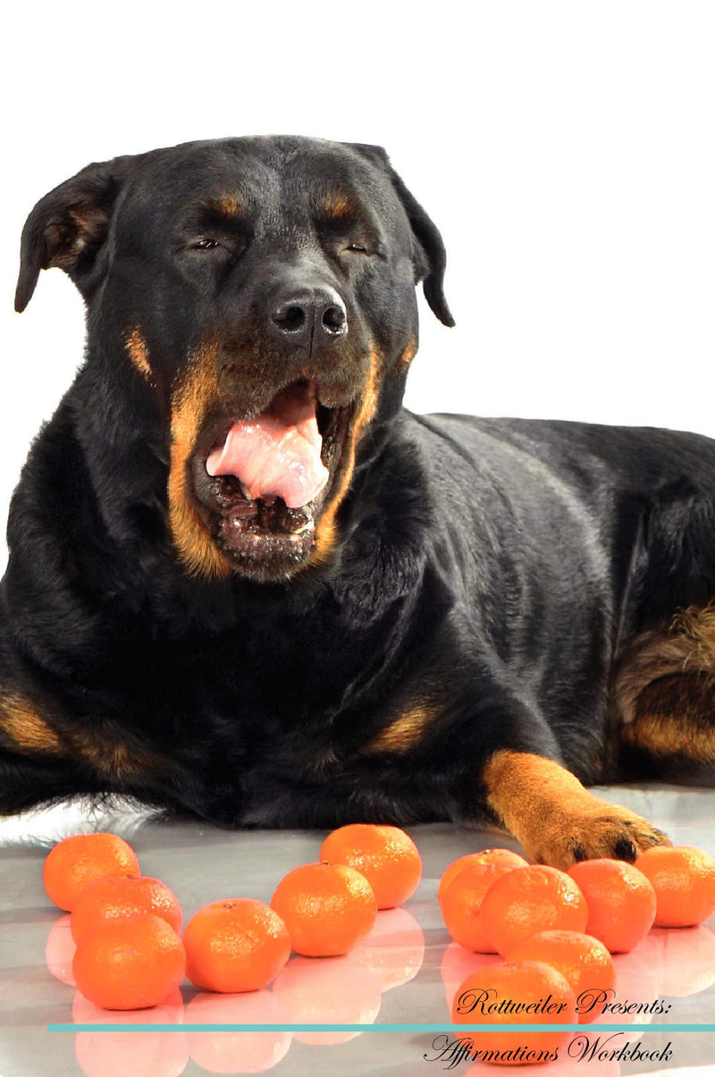 Rottweiler Affirmations Workbook Rottweiler Presents: Positive and Loving Affirmations Workbook. Includes: Mentoring Questions, Guidance, Supporting You.