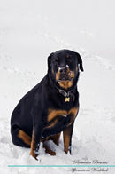 Rottweiler Affirmations Workbook Rottweiler Presents: Positive and Loving Affirmations Workbook. Includes: Mentoring Questions, Guidance, Supporting You.