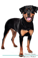 Rottweiler Affirmations Workbook Rottweiler Presents: Positive and Loving Affirmations Workbook. Includes: Mentoring Questions, Guidance, Supporting You.
