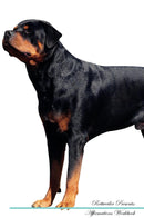 Rottweiler Affirmations Workbook Rottweiler Presents: Positive and Loving Affirmations Workbook. Includes: Mentoring Questions, Guidance, Supporting You.
