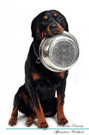 Rottweiler Affirmations Workbook Rottweiler Presents: Positive and Loving Affirmations Workbook. Includes: Mentoring Questions, Guidance, Supporting You.