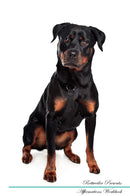 Rottweiler Affirmations Workbook Rottweiler Presents: Positive and Loving Affirmations Workbook. Includes: Mentoring Questions, Guidance, Supporting You.