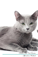Russian Blue Cat Affirmations Workbook Russian Blue Cat Presents: Positive and Loving Affirmations Workbook. Includes: Mentoring Questions, Guidance, Supporting You.