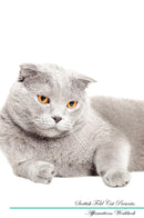 Scottish Fold Cat Affirmations Workbook Scottish Fold Cat Presents: Positive and Loving Affirmations Workbook. Includes: Mentoring Questions, Guidance, Supporting You.