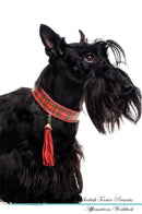 Scottish Terrier Affirmations Workbook Scottish Terrier Presents: Positive and Loving Affirmations Workbook. Includes: Mentoring Questions, Guidance, Supporting You.