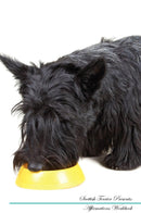 Scottish Terrier Affirmations Workbook Scottish Terrier Presents: Positive and Loving Affirmations Workbook. Includes: Mentoring Questions, Guidance, Supporting You.
