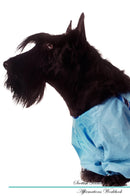 Scottish Terrier Affirmations Workbook Scottish Terrier Presents: Positive and Loving Affirmations Workbook. Includes: Mentoring Questions, Guidance, Supporting You.