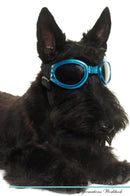 Scottish Terrier Affirmations Workbook Scottish Terrier Presents: Positive and Loving Affirmations Workbook. Includes: Mentoring Questions, Guidance, Supporting You.