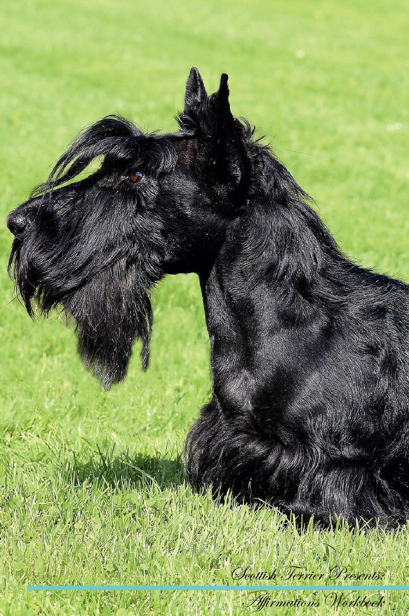 Scottish Terrier Affirmations Workbook Scottish Terrier Presents: Positive and Loving Affirmations Workbook. Includes: Mentoring Questions, Guidance, Supporting You.
