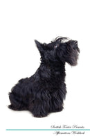 Scottish Terrier Affirmations Workbook Scottish Terrier Presents: Positive and Loving Affirmations Workbook. Includes: Mentoring Questions, Guidance, Supporting You.