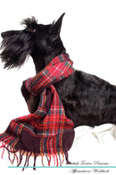 Scottish Terrier Affirmations Workbook Scottish Terrier Presents: Positive and Loving Affirmations Workbook. Includes: Mentoring Questions, Guidance, Supporting You.