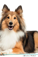 Shetland Sheepdog Affirmations Workbook Shetland Sheepdog Presents: Positive and Loving Affirmations Workbook. Includes: Mentoring Questions, Guidance, Supporting You.