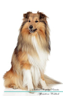 Shetland Sheepdog Affirmations Workbook Shetland Sheepdog Presents: Positive and Loving Affirmations Workbook. Includes: Mentoring Questions, Guidance, Supporting You.