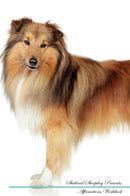 Shetland Sheepdog Affirmations Workbook Shetland Sheepdog Presents: Positive and Loving Affirmations Workbook. Includes: Mentoring Questions, Guidance, Supporting You.