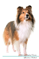 Shetland Sheepdog Affirmations Workbook Shetland Sheepdog Presents: Positive and Loving Affirmations Workbook. Includes: Mentoring Questions, Guidance, Supporting You.
