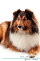 Shetland Sheepdog Affirmations Workbook Shetland Sheepdog Presents: Positive and Loving Affirmations Workbook. Includes: Mentoring Questions, Guidance, Supporting You.
