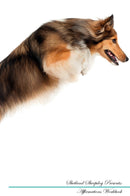 Shetland Sheepdog Affirmations Workbook Shetland Sheepdog Presents: Positive and Loving Affirmations Workbook. Includes: Mentoring Questions, Guidance, Supporting You.