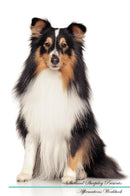 Shetland Sheepdog Affirmations Workbook Shetland Sheepdog Presents: Positive and Loving Affirmations Workbook. Includes: Mentoring Questions, Guidance, Supporting You.