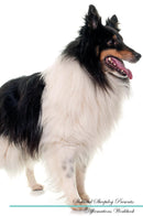 Shetland Sheepdog Affirmations Workbook Shetland Sheepdog Presents: Positive and Loving Affirmations Workbook. Includes: Mentoring Questions, Guidance, Supporting You.