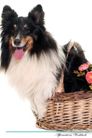 Shetland Sheepdog Affirmations Workbook Shetland Sheepdog Presents: Positive and Loving Affirmations Workbook. Includes: Mentoring Questions, Guidance, Supporting You.
