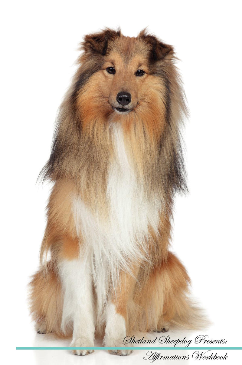 Shetland Sheepdog Affirmations Workbook Shetland Sheepdog Presents: Positive and Loving Affirmations Workbook. Includes: Mentoring Questions, Guidance, Supporting You.