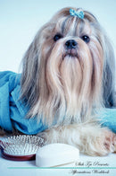 Shih Tzu Affirmations Workbook Shih Tzu Presents: Positive and Loving Affirmations Workbook. Includes: Mentoring Questions, Guidance, Supporting You.