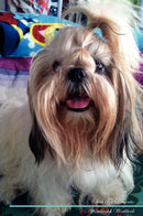 Shih Tzu Affirmations Workbook Shih Tzu Presents: Positive and Loving Affirmations Workbook. Includes: Mentoring Questions, Guidance, Supporting You.