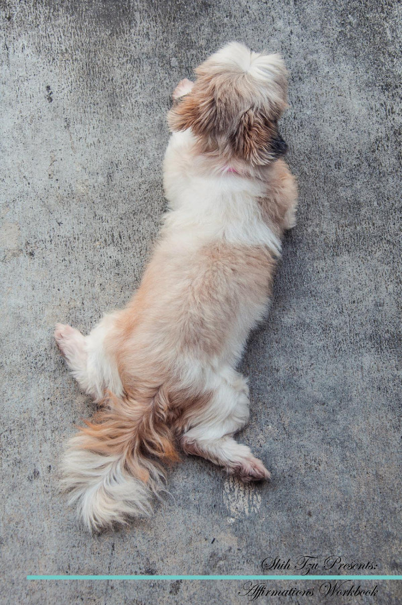 Shih Tzu Affirmations Workbook Shih Tzu Presents: Positive and Loving Affirmations Workbook. Includes: Mentoring Questions, Guidance, Supporting You.