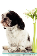 Shih Tzu Affirmations Workbook Shih Tzu Presents: Positive and Loving Affirmations Workbook. Includes: Mentoring Questions, Guidance, Supporting You.