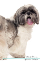 Shih Tzu Affirmations Workbook Shih Tzu Presents: Positive and Loving Affirmations Workbook. Includes: Mentoring Questions, Guidance, Supporting You.