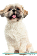 Shih Tzu Affirmations Workbook Shih Tzu Presents: Positive and Loving Affirmations Workbook. Includes: Mentoring Questions, Guidance, Supporting You.