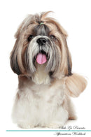 Shih Tzu Affirmations Workbook Shih Tzu Presents: Positive and Loving Affirmations Workbook. Includes: Mentoring Questions, Guidance, Supporting You.