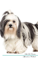 Shih Tzu Affirmations Workbook Shih Tzu Presents: Positive and Loving Affirmations Workbook. Includes: Mentoring Questions, Guidance, Supporting You.