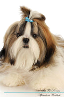 Shih Tzu Affirmations Workbook Shih Tzu Presents: Positive and Loving Affirmations Workbook. Includes: Mentoring Questions, Guidance, Supporting You.