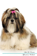 Shih Tzu Affirmations Workbook Shih Tzu Presents: Positive and Loving Affirmations Workbook. Includes: Mentoring Questions, Guidance, Supporting You.