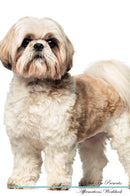 Shih Tzu Affirmations Workbook Shih Tzu Presents: Positive and Loving Affirmations Workbook. Includes: Mentoring Questions, Guidance, Supporting You.