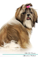 Shih Tzu Affirmations Workbook Shih Tzu Presents: Positive and Loving Affirmations Workbook. Includes: Mentoring Questions, Guidance, Supporting You.