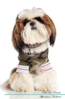Shih Tzu Affirmations Workbook Shih Tzu Presents: Positive and Loving Affirmations Workbook. Includes: Mentoring Questions, Guidance, Supporting You.