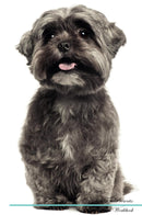 Shih Tzu Affirmations Workbook Shih Tzu Presents: Positive and Loving Affirmations Workbook. Includes: Mentoring Questions, Guidance, Supporting You.