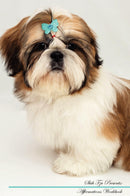 Shih Tzu Affirmations Workbook Shih Tzu Presents: Positive and Loving Affirmations Workbook. Includes: Mentoring Questions, Guidance, Supporting You.