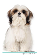 Shih Tzu Affirmations Workbook Shih Tzu Presents: Positive and Loving Affirmations Workbook. Includes: Mentoring Questions, Guidance, Supporting You.