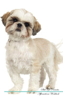 Shih Tzu Affirmations Workbook Shih Tzu Presents: Positive and Loving Affirmations Workbook. Includes: Mentoring Questions, Guidance, Supporting You.