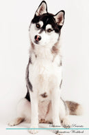 Siberian Husky Affirmations Workbook Siberian Husky Presents: Positive and Loving Affirmations Workbook. Includes: Mentoring Questions, Guidance, Supporting You.