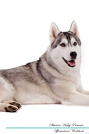 Siberian Husky Affirmations Workbook Siberian Husky Presents: Positive and Loving Affirmations Workbook. Includes: Mentoring Questions, Guidance, Supporting You.