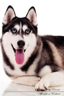 Siberian Husky Affirmations Workbook Siberian Husky Presents: Positive and Loving Affirmations Workbook. Includes: Mentoring Questions, Guidance, Supporting You.